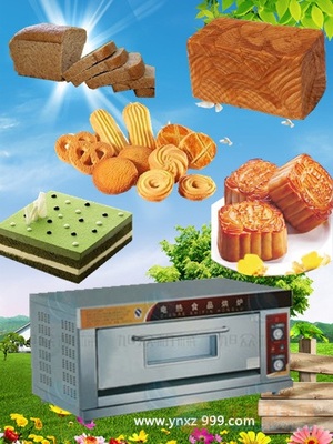 红外线食品烘炉价格 厂家 昆明烘炉 曲靖烘炉 烘炉那里有卖