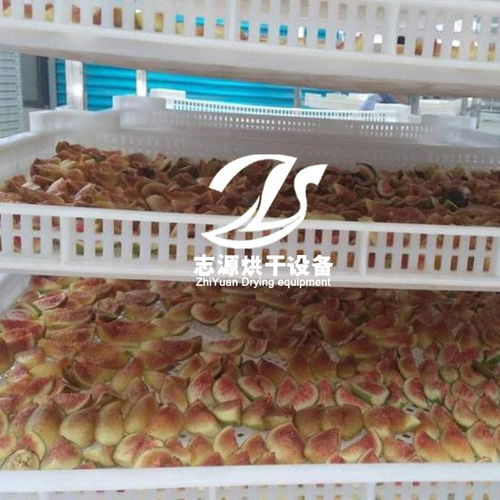 空气能无花果烘干机循环风量无花果烘炉