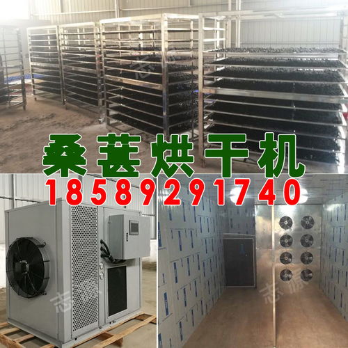 三层烘炉报价 厂家